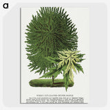 1-100_Botanical-Specimen-Plates_picture-crop