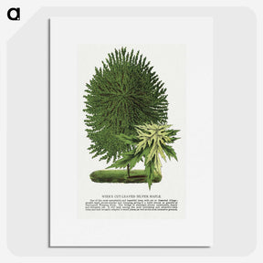 1-100_Botanical-Specimen-Plates_picture