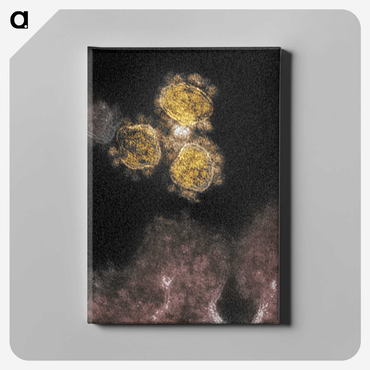 1-100_COVID-19_canvas