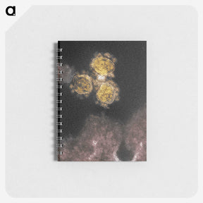 1-100_COVID-19_memo