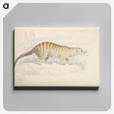 1-100_Charles-Hamilton-Smith_canvas