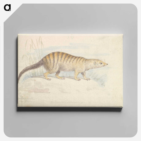 1-100_Charles-Hamilton-Smith_canvas