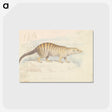 1-100_Charles-Hamilton-Smith_postcard