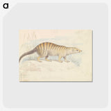 1-100_Charles-Hamilton-Smith_postcard