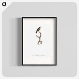 1-100_Des-Oiseaux-de-Paradis_blk
