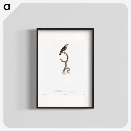 1-100_Des-Oiseaux-de-Paradis_blk