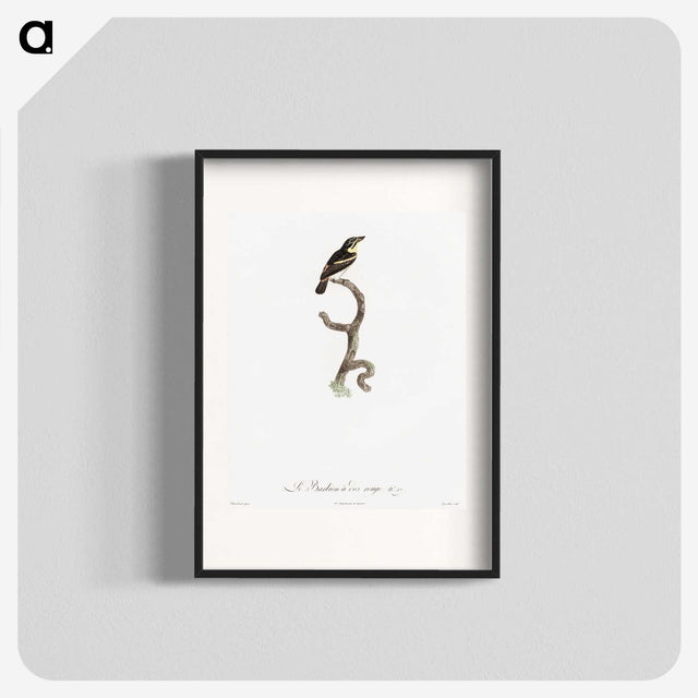 1-100_Des-Oiseaux-de-Paradis_blk
