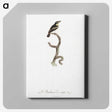1-100_Des-Oiseaux-de-Paradis_canvas