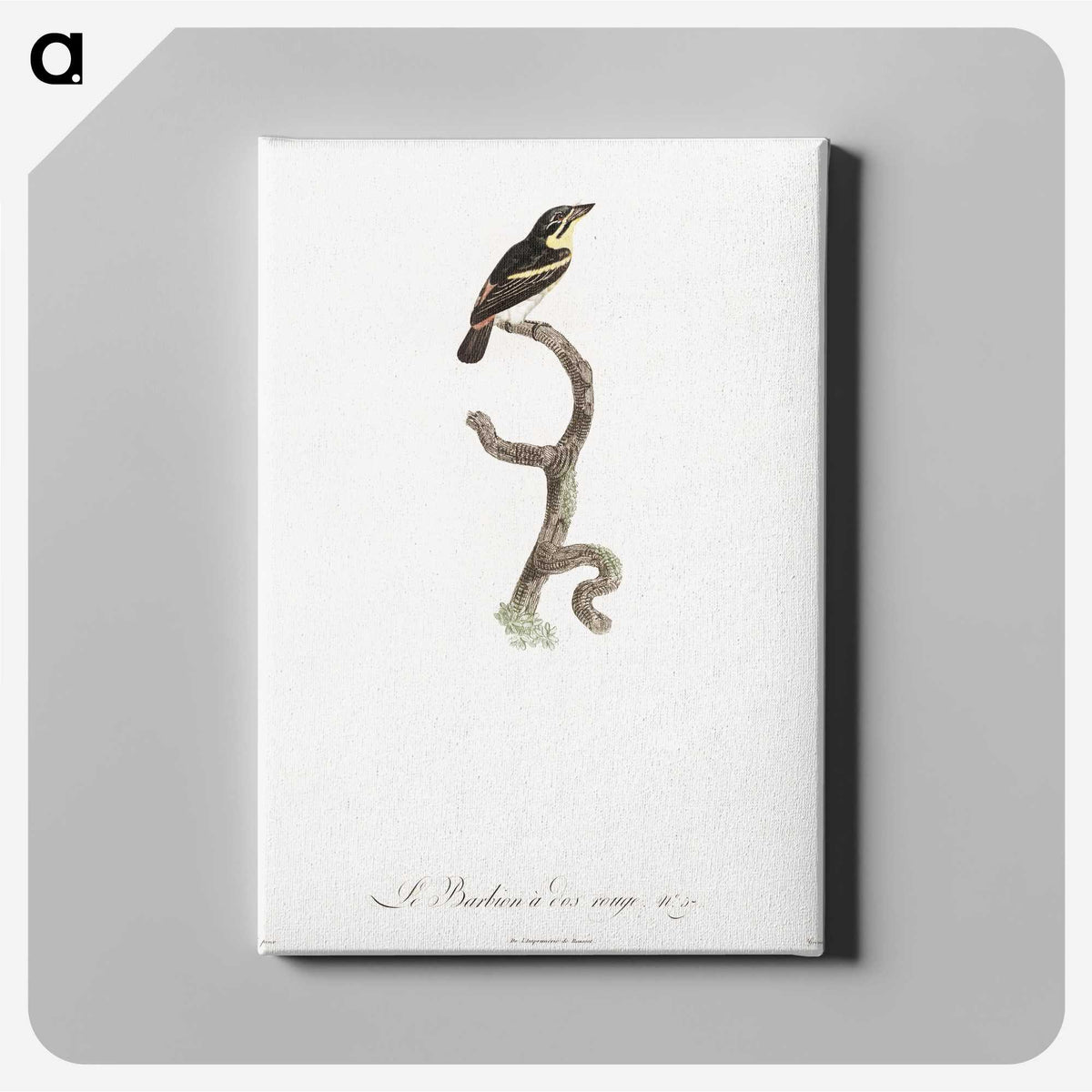 1-100_Des-Oiseaux-de-Paradis_canvas