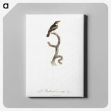 1-100_Des-Oiseaux-de-Paradis_canvas