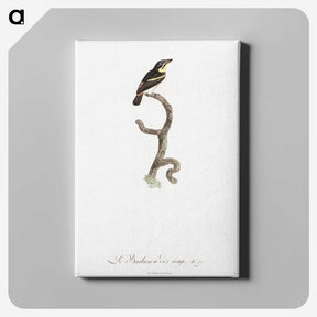 1-100_Des-Oiseaux-de-Paradis_canvas