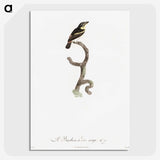 1-100_Des-Oiseaux-de-Paradis_picture-crop
