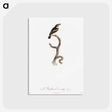 1-100_Des-Oiseaux-de-Paradis_postcard