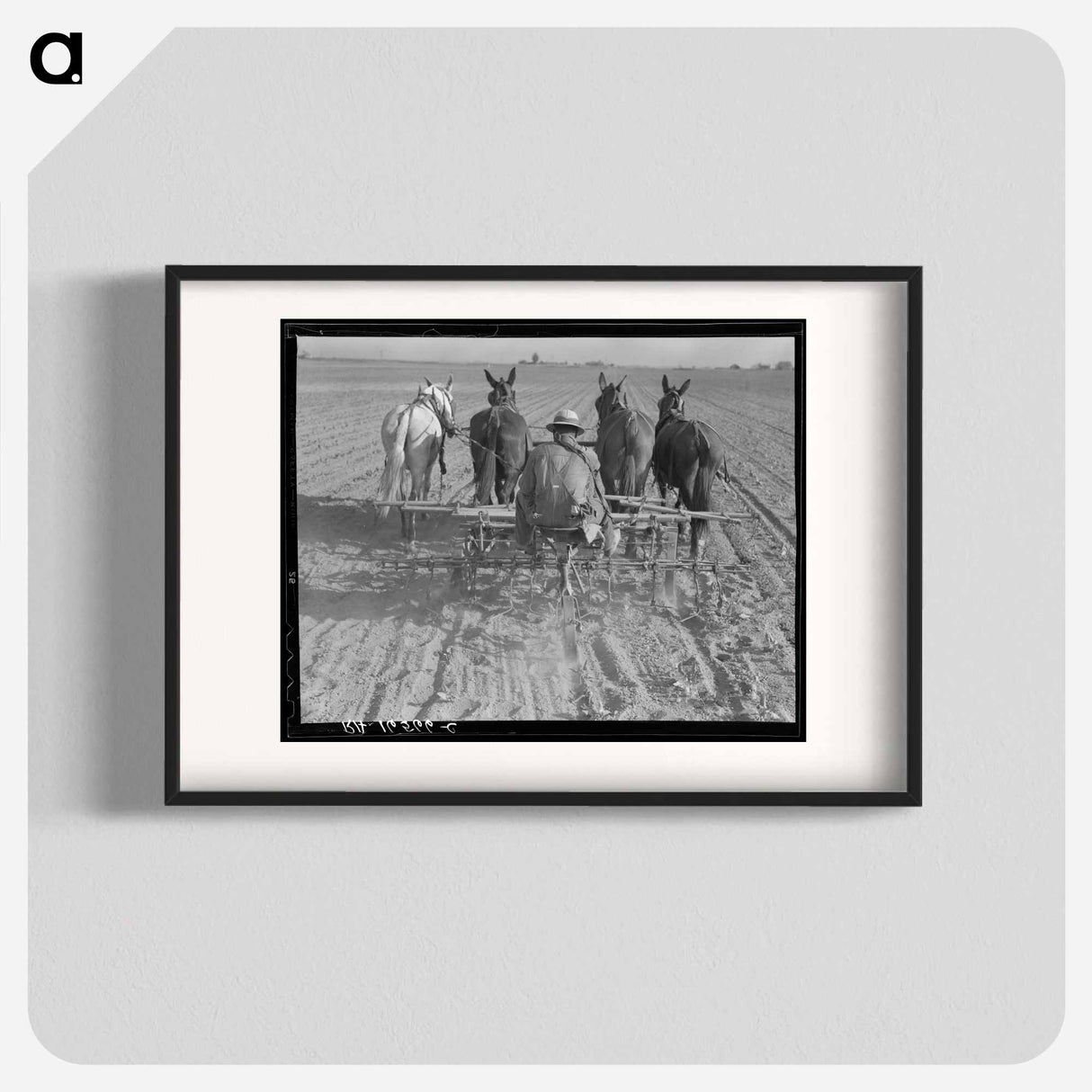 Cultivating beans with a four-row cultivator. Near Santa Ana, California - ドロテア ラング Poster.