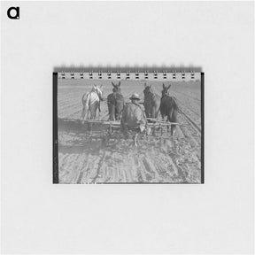アートメモ帳-Cultivating beans with a four-row cultivator. Near Santa Ana, California - ドロテア ラング Memo.