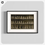 1-100_Eadweard-Muybridge_blk