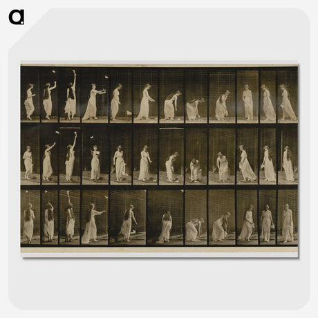 1-100_Eadweard-Muybridge_picture-crop