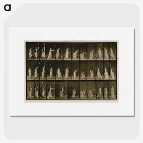 1-100_Eadweard-Muybridge_picture