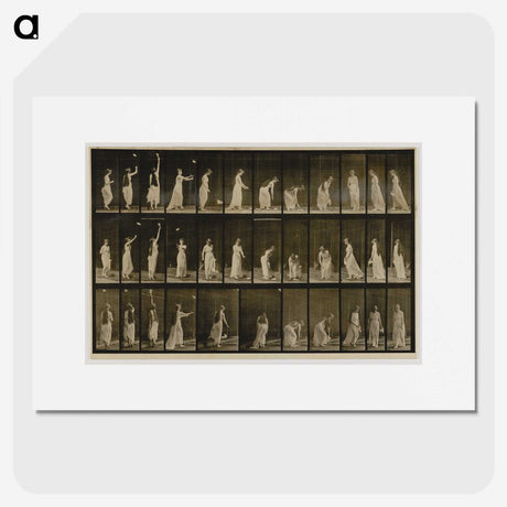 1-100_Eadweard-Muybridge_picture