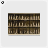 アートポストカード-Woman Throwing Handkerchief
 - エドワード マイブリッジ Postcard.