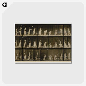 1-100_Eadweard-Muybridge_postcard