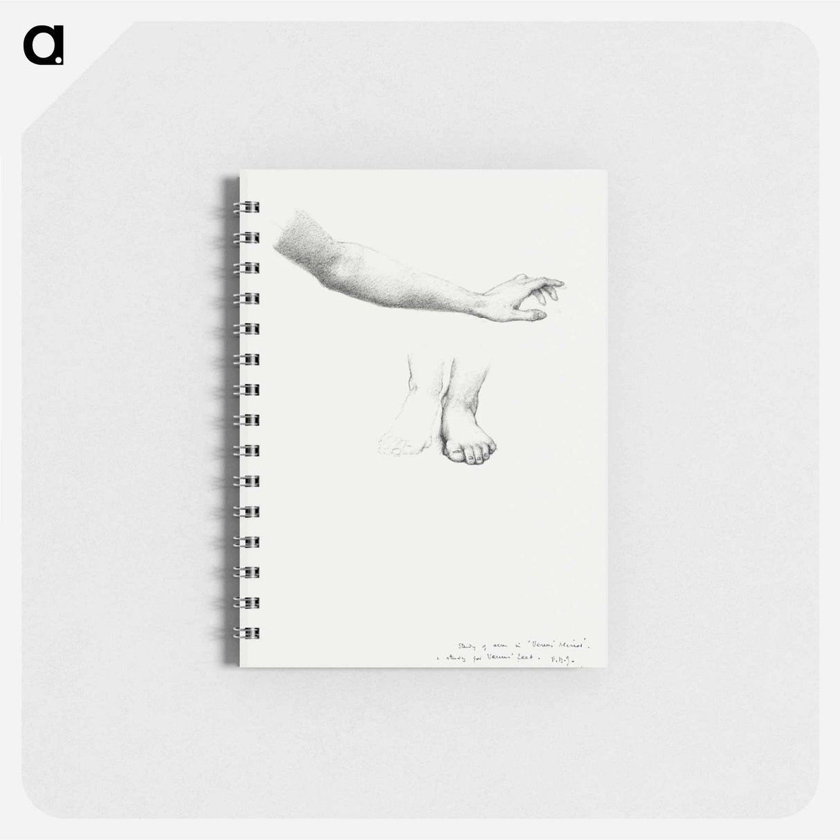 アートメモ帳-Arm and Feet, study for Mirror of Venus - エドワード バーン ジョーンズ Memo.