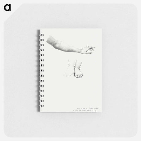 アートメモ帳-Arm and Feet, study for Mirror of Venus - エドワード バーン ジョーンズ Memo.