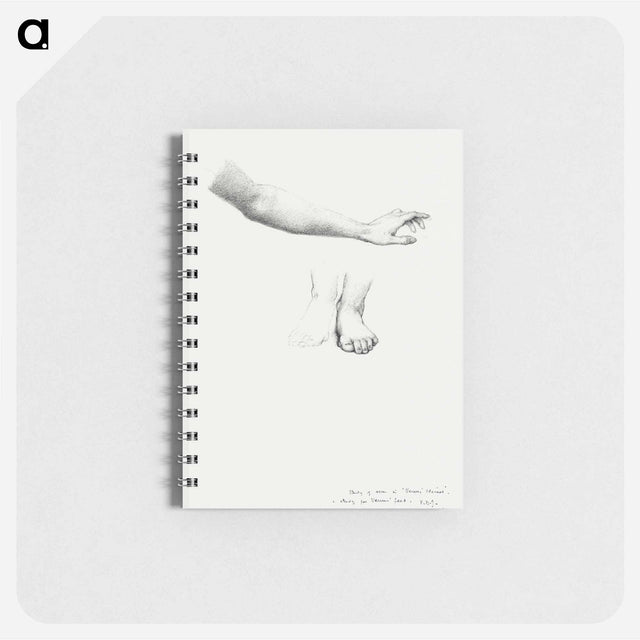 アートメモ帳-Arm and Feet, study for Mirror of Venus - エドワード バーン ジョーンズ Memo.