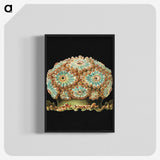 1-100_Ernst-Haeckel_blk-crop