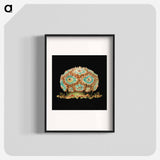 Colorful vintage tunicate marine life illustration - エルンスト ヘッケル Poster.