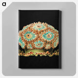 Colorful vintage tunicate marine life illustration - エルンスト ヘッケル Canvas.