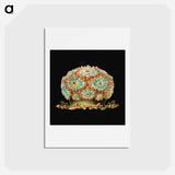 アートポストカード-Colorful vintage tunicate marine life illustration - エルンスト ヘッケル Postcard.