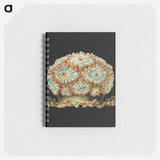 1-100_Ernst-Haeckel_memo