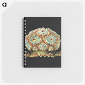1-100_Ernst-Haeckel_memo