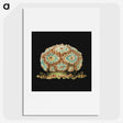 1-100_Ernst-Haeckel_picture