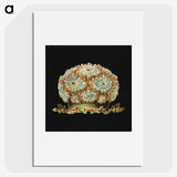 1-100_Ernst-Haeckel_picture