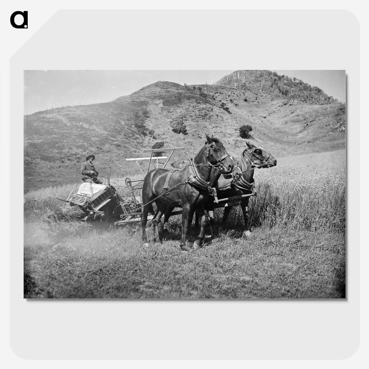 1-100_Frederick-Charles-Brockett_picture-crop