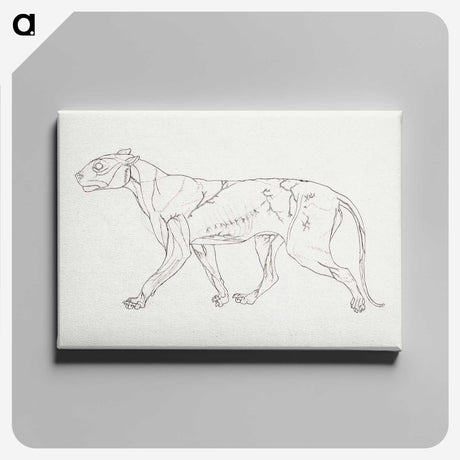 1-100_George-Stubbs_canvas