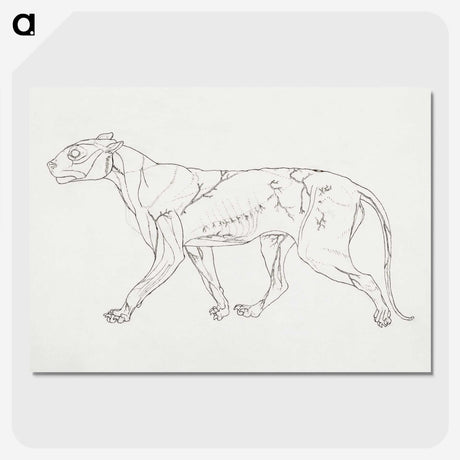 1-100_George-Stubbs_picture-crop