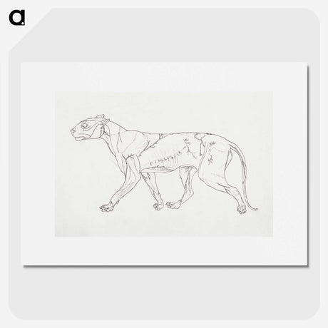 1-100_George-Stubbs_picture