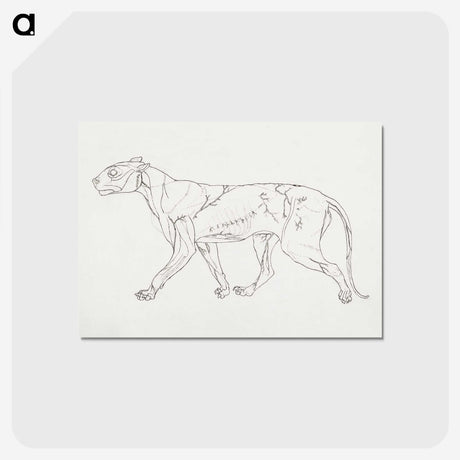 1-100_George-Stubbs_postcard