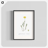 1-100_Histoire-des-Plantes-Grasses_blk