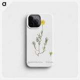 1-100_Histoire-des-Plantes-Grasses_phone