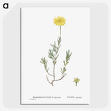 1-100_Histoire-des-Plantes-Grasses_picture-crop