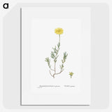 1-100_Histoire-des-Plantes-Grasses_picture
