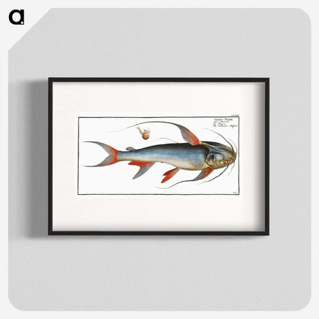 1-100_Ichtyologie-ou-Histoire-naturelle_blk