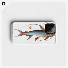 1-100_Ichtyologie-ou-Histoire-naturelle_phone