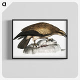 1-100_Indian-Zoology_blk-crop