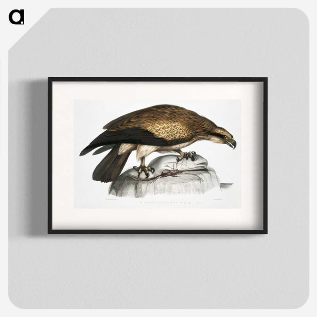1-100_Indian-Zoology_blk