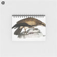 1-100_Indian-Zoology_memo